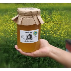 Miód Drahimski Rzepakowy 1250g
